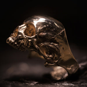 Media mandíbula de bronce